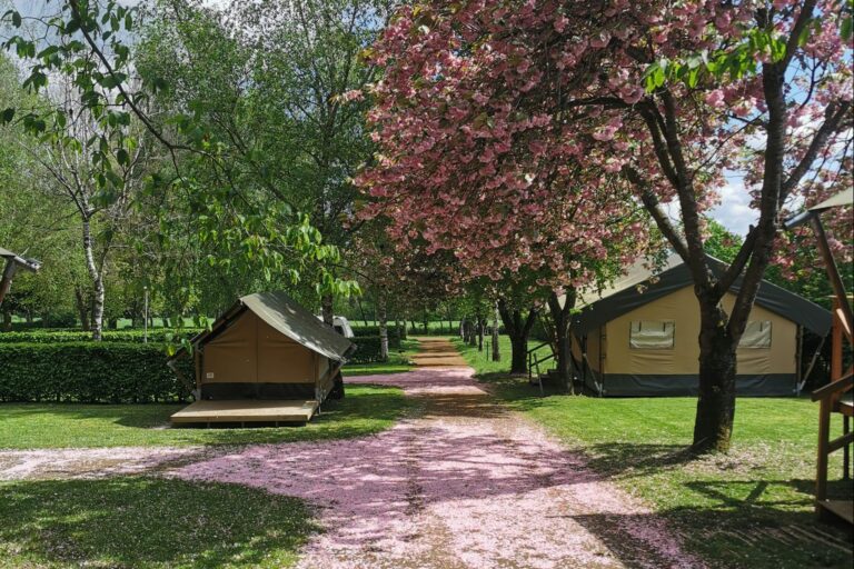 Camping Belle-vue 2000 - Bild 1