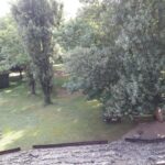 Camping Bellerive - Bild 10