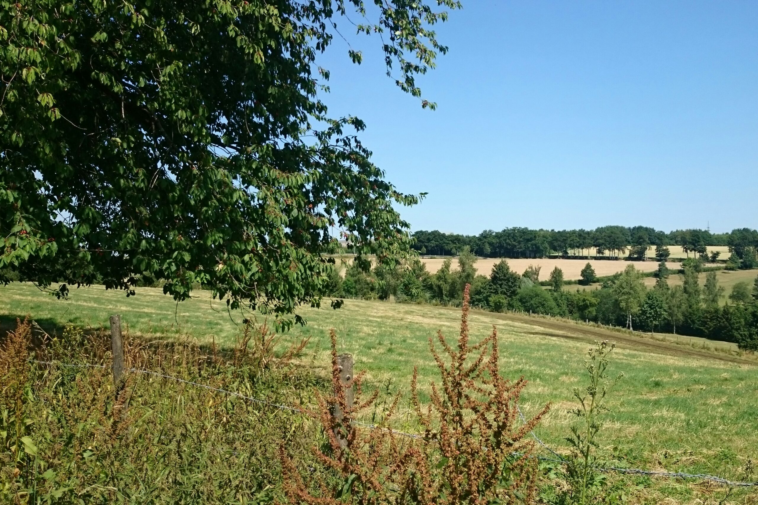 Camping Berkel - Bild 2