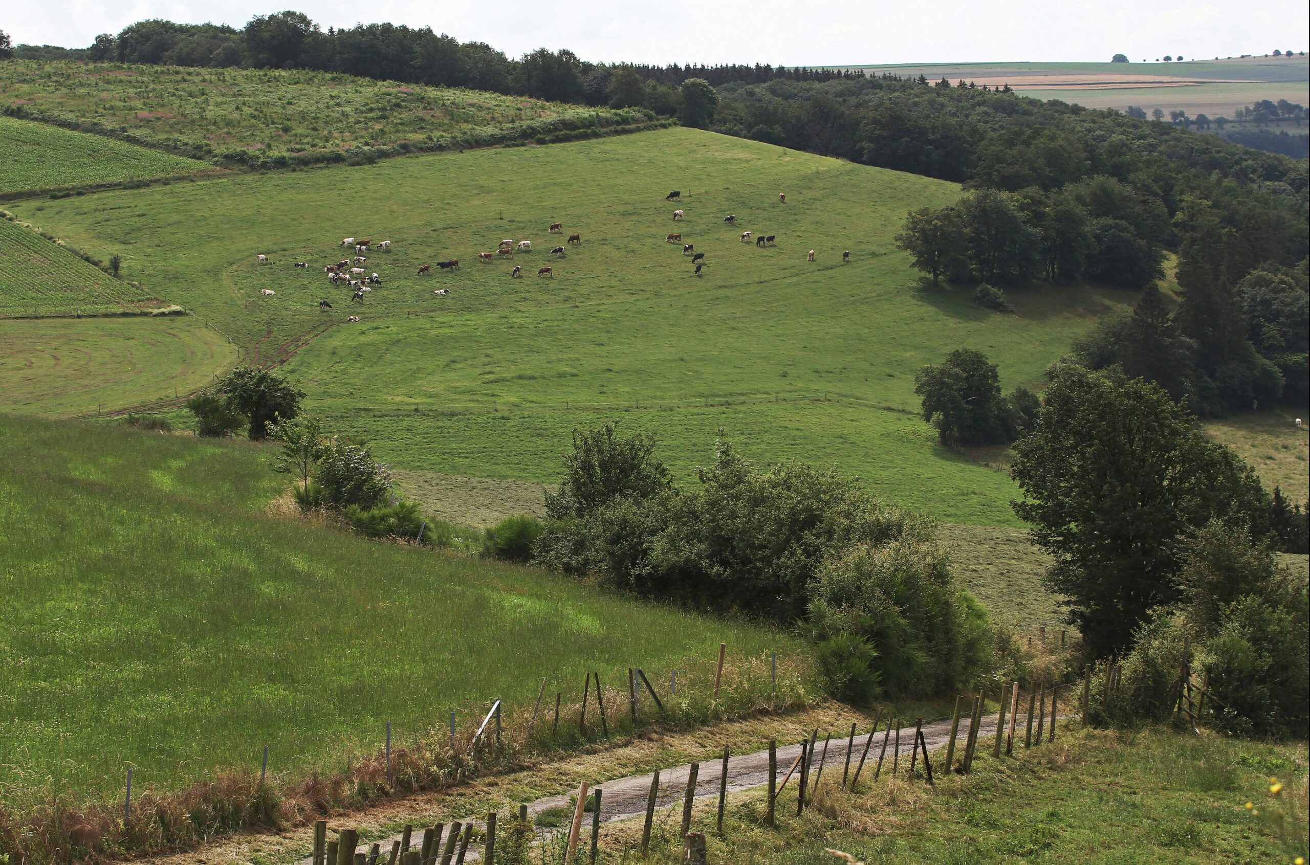 Camping Berkel - Bild 3