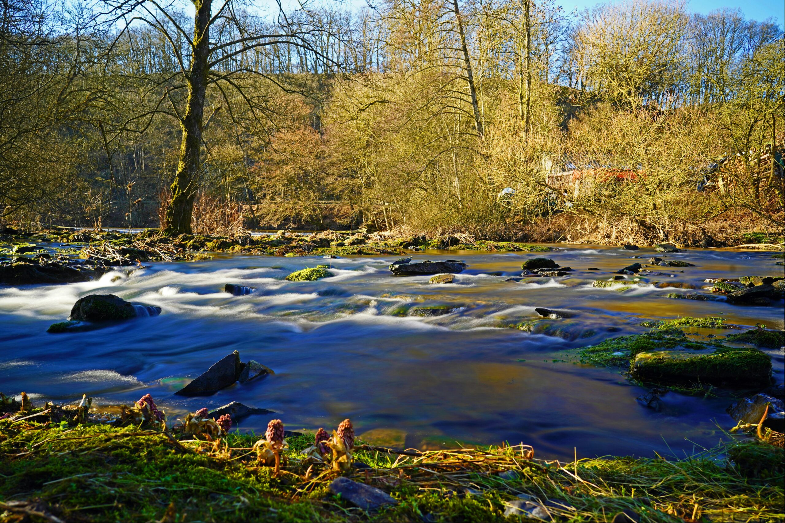 Camping Berkel - Bild 4