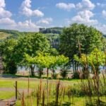 Camping Biggesee-vier Jahreszeiten - Bild 14 Camping Biggesee-vier Jahreszeiten - Bild 14