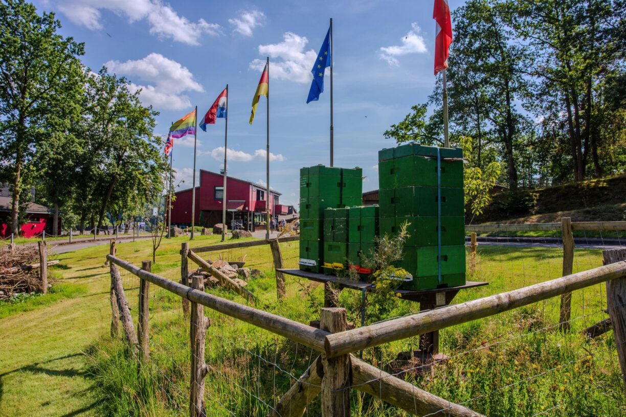 Camping Biggesee-vier Jahreszeiten - Bild 2 Camping Biggesee-vier Jahreszeiten - Bild 2