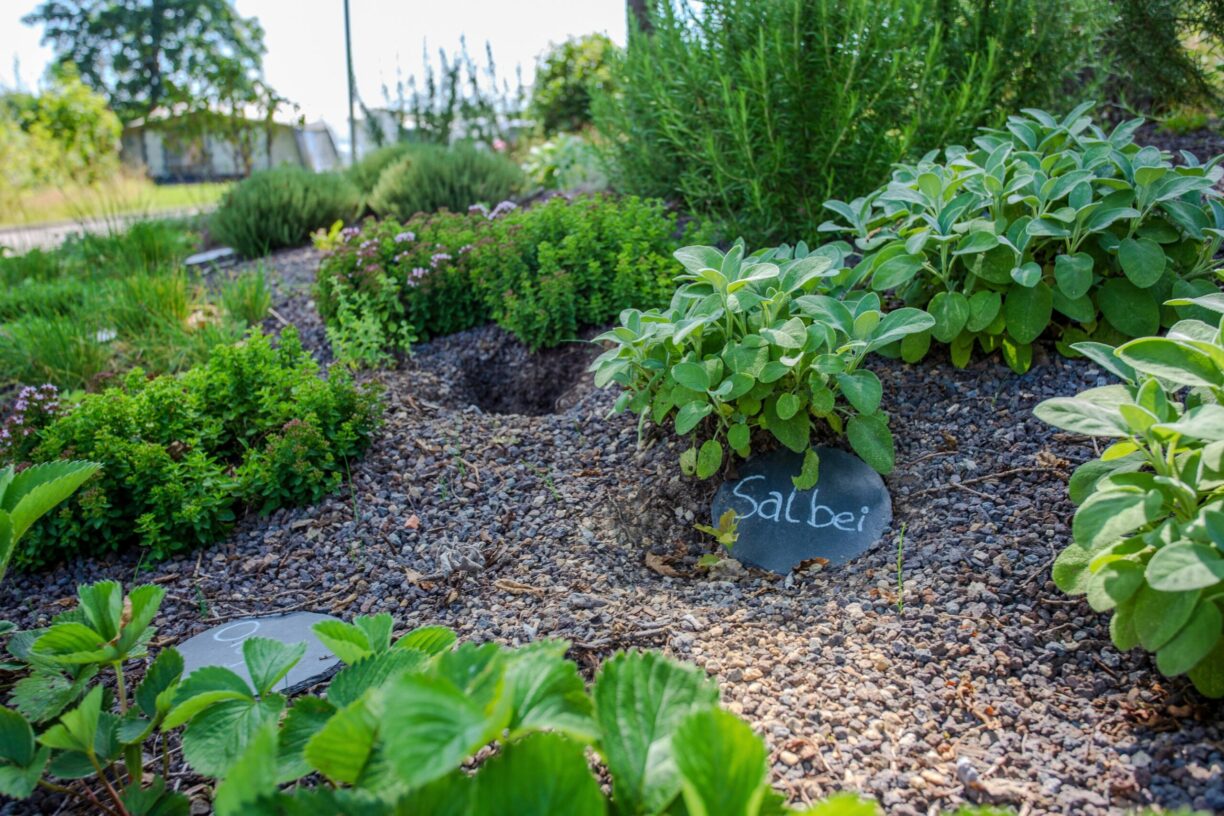 Camping Biggesee-vier Jahreszeiten - Bild 3 Camping Biggesee-vier Jahreszeiten - Bild 3