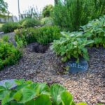 Camping Biggesee-vier Jahreszeiten - Bild 3 Camping Biggesee-vier Jahreszeiten - Bild 3