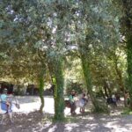 Camping Bois Soleil - Bild 12 Camping Bois Soleil - Bild 12