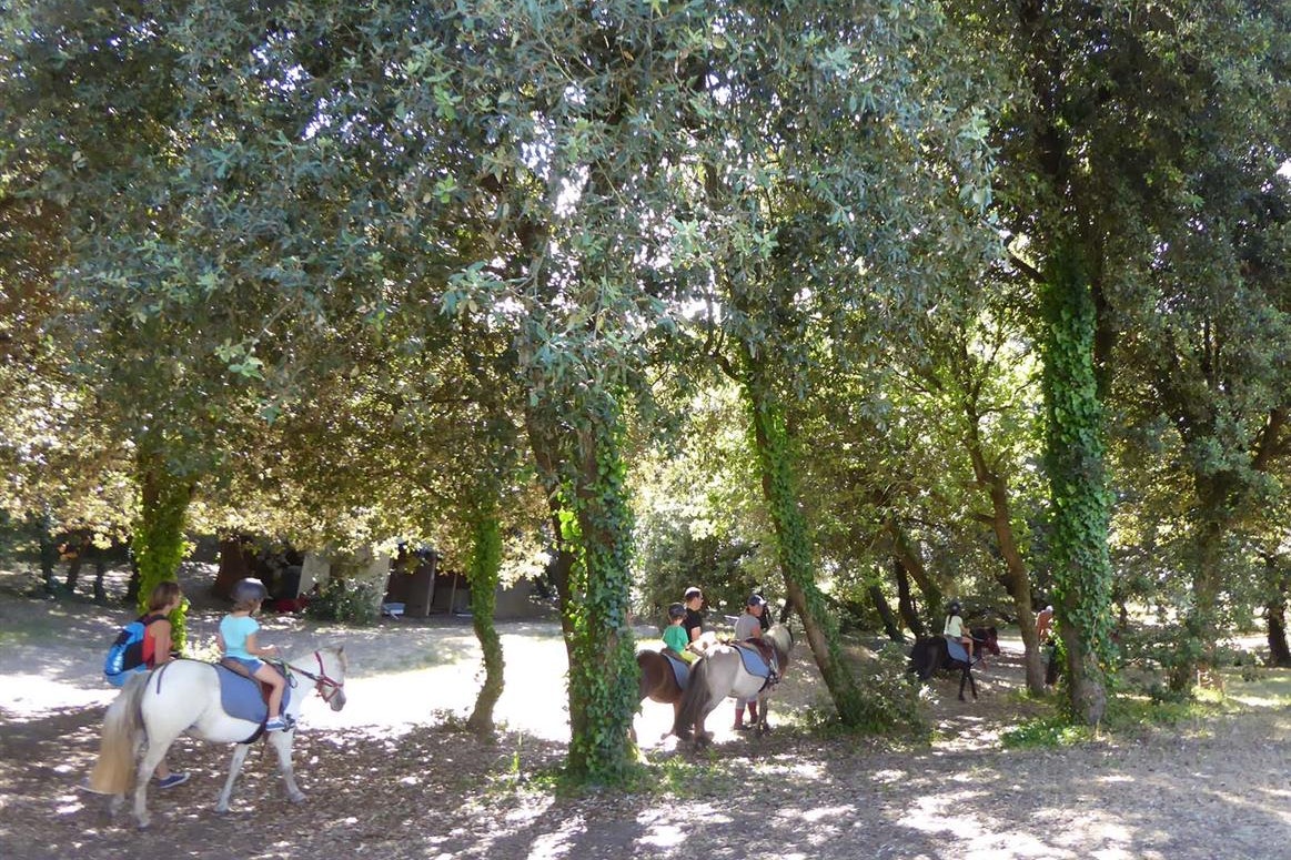 Camping Bois Soleil - Bild 12 Camping Bois Soleil - Bild 12