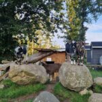 Camping Bøllingsø - Bild 6 Camping Bøllingsø - Bild 6