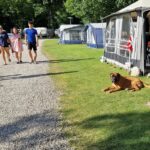 Camping Bøllingsø - Bild 7 Camping Bøllingsø - Bild 7