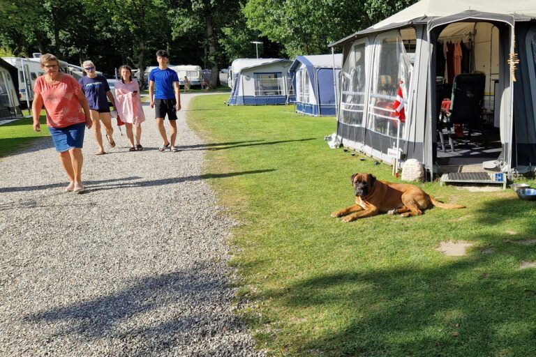 Camping Bøllingsø - Bild 7 Camping Bøllingsø - Bild 7