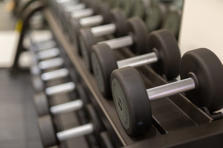 Camping Bor - Bild 15