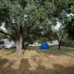 Camping Bor - Bild 5