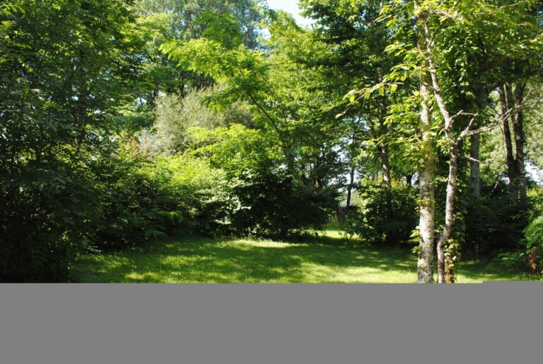 Camping Brin D'amour - Bild 5 Camping Brin D'amour - Bild 5