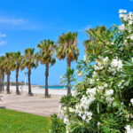 Camping & Bungalows Estanyet - Bild 9