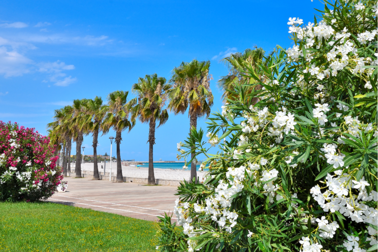 Camping & Bungalows Estanyet - Bild 9