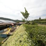 Camping & Bungalows Zumaia - Bild 13