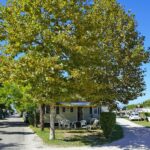 Camping Butterfly - Bild 1