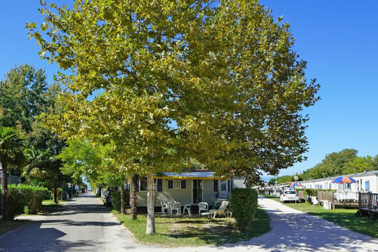 Camping Butterfly - Bild 1 Camping Butterfly - Bild 1