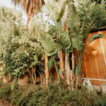 Camping Caledonia - Bild 7