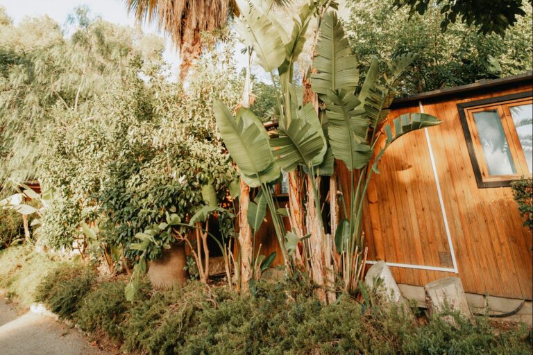 Camping Caledonia - Bild 7