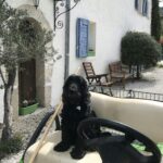 Camping Calme Et Nature - Bild 11