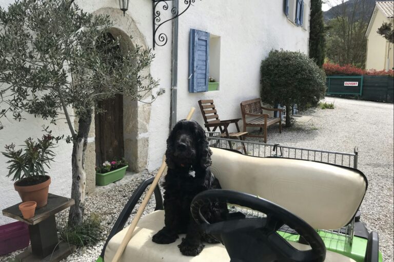 Camping Calme Et Nature - Bild 11