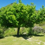 Camping Calme Et Nature - Bild 9