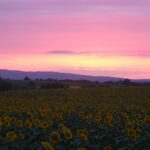 Camping Camp Redon - Bild 6