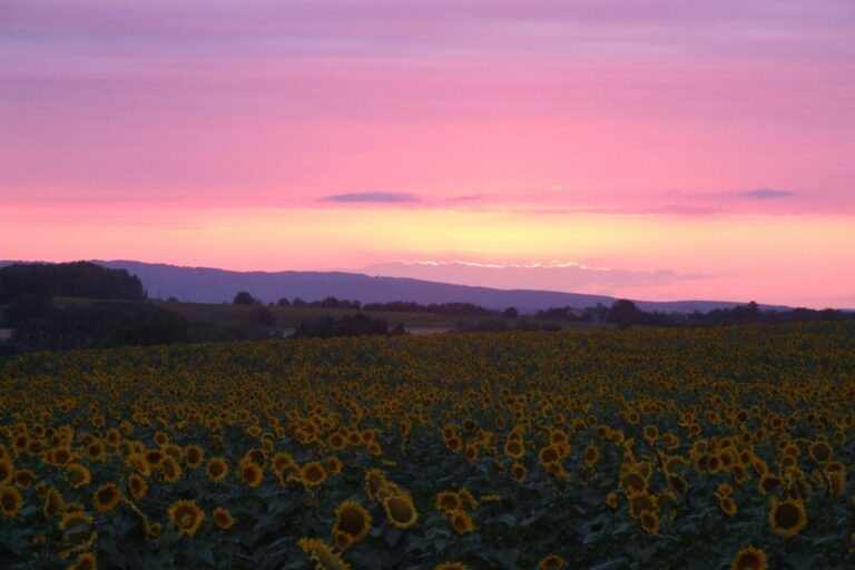 Camping Camp Redon - Bild 6