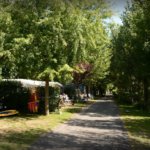 Camping Canoë Gorges Du Tarn - Bild 4