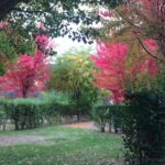 Camping Canoë Gorges Du Tarn - Bild 5