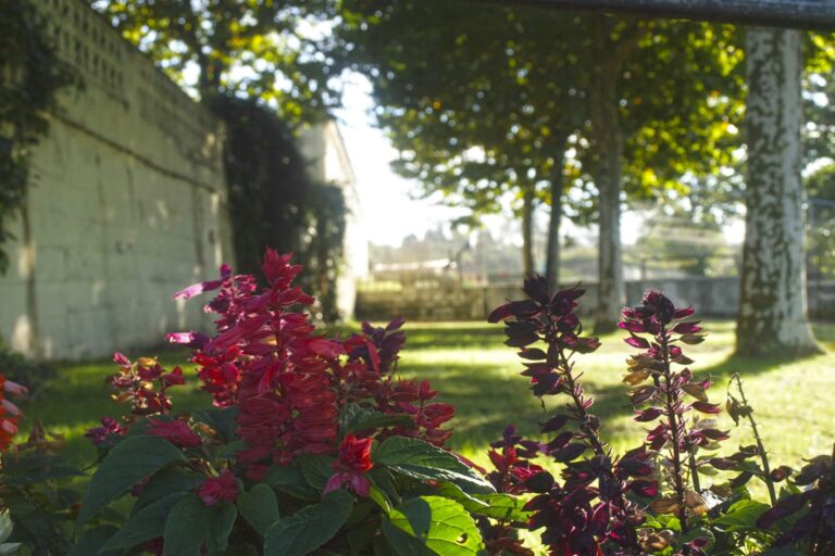 Camping Caravaning Oyambre - Bild 14