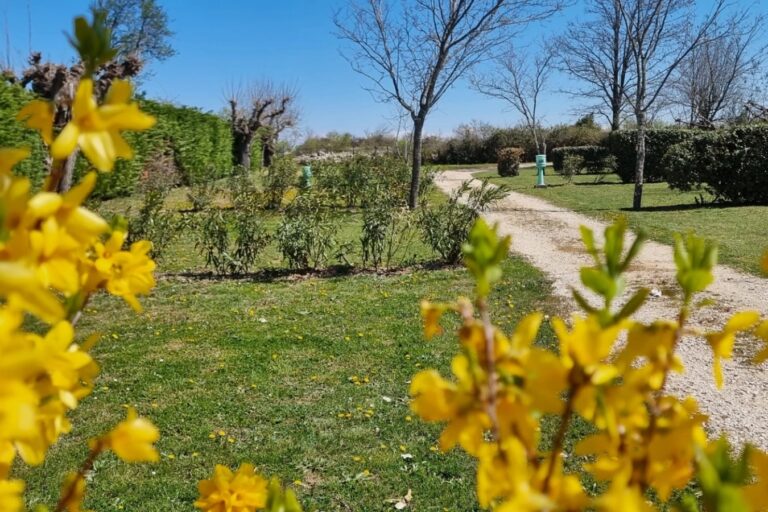 Camping Carrefour De L'ardèche - Bild 1 Camping Carrefour De L'ardèche - Bild 1