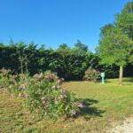 Camping Carrefour De L'ardèche - Bild 4 Camping Carrefour De L'ardèche - Bild 4