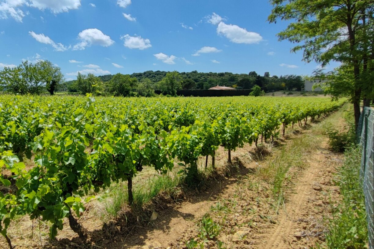 Camping Carrefour De L'ardèche - Bild 5 Camping Carrefour De L'ardèche - Bild 5