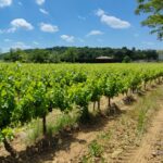 Camping Carrefour De L'ardèche - Bild 5 Camping Carrefour De L'ardèche - Bild 5