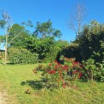 Camping Carrefour De L'ardèche - Bild 6 Camping Carrefour De L'ardèche - Bild 6