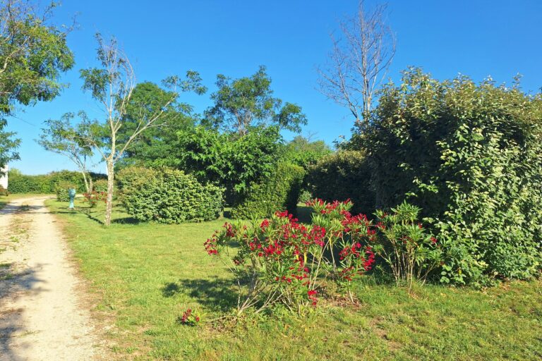 Camping Carrefour De L'ardèche - Bild 6 Camping Carrefour De L'ardèche - Bild 6