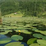 Camping Casavecchia - Bild 14