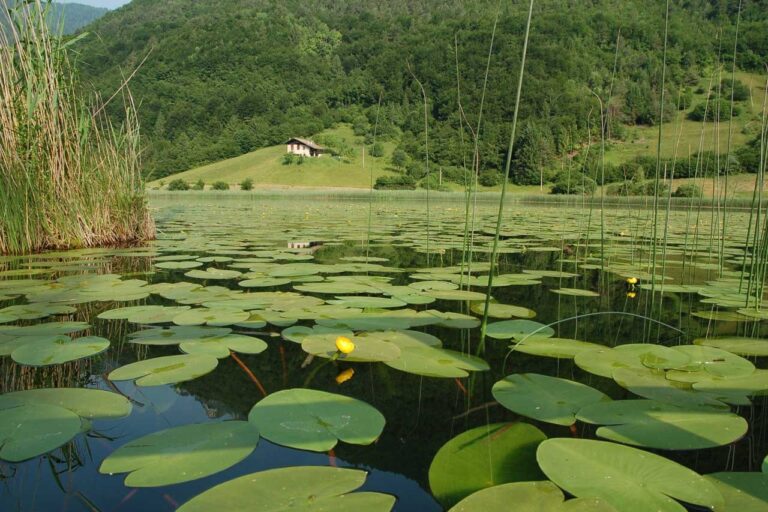 Camping Casavecchia - Bild 14