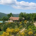 Cepo Verde - Bild 1 Cepo Verde - Bild 1