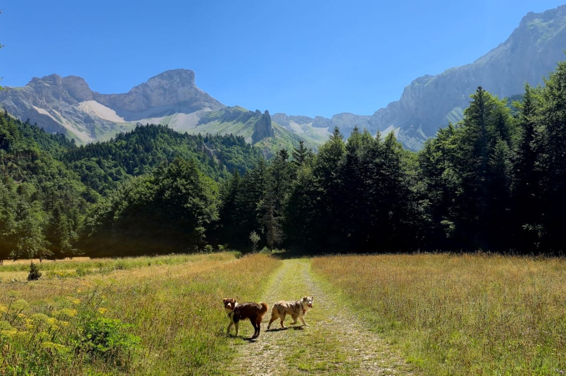 Camping Champ La Chèvre - Bild 8 Camping Champ La Chèvre - Bild 8