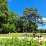 Camping Château De La Rolandière - Bild 10