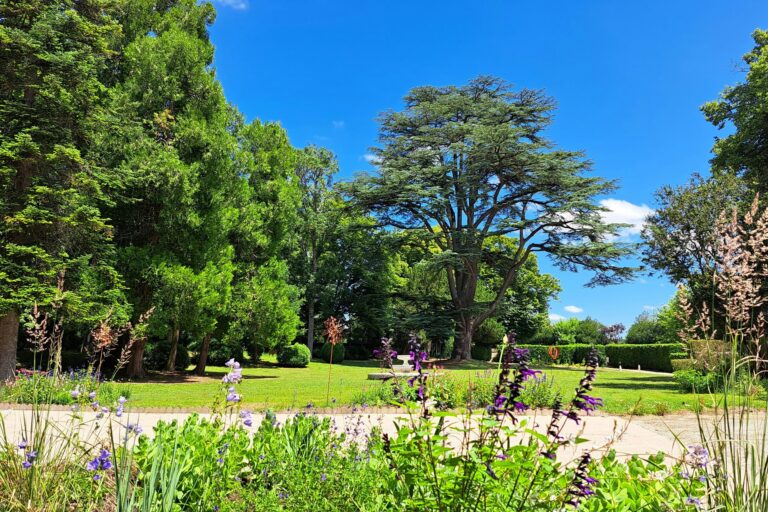 Camping Château De La Rolandière - Bild 10
