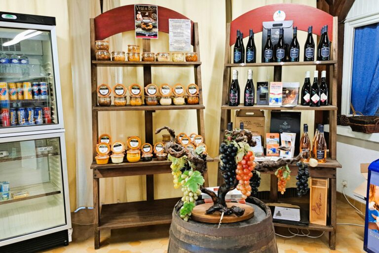 Camping Château De La Rolandière - Bild 15