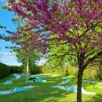 Camping Château De La Rolandière - Bild 7