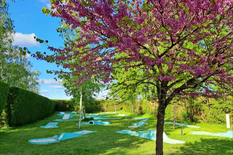 Camping Château De La Rolandière - Bild 7
