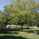 Camping Chez Gendron - Bild 10