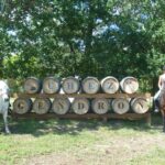 Camping Chez Gendron - Bild 13