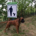 Camping Colleverde - Bild 8 Camping Colleverde - Bild 8